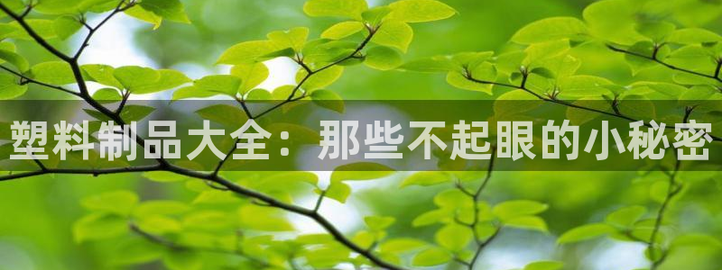 太阳集团娱：塑料制品大全：那些不起眼的小秘密