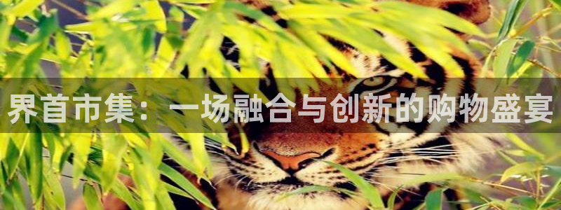 太阳集团电子游戏如何赚钱：界首市集：一场融合与创新的购物盛宴