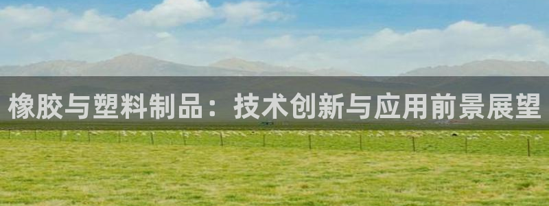 太阳集团不能提现怎么办：橡胶与塑料制品：技术创新与应用前景展