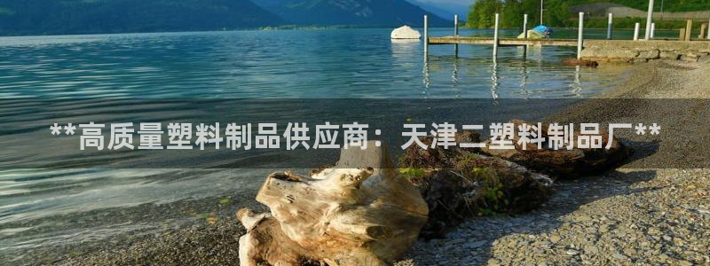 太阳游戏成语：**高质量塑料制品供应商：天津二塑料制品厂**