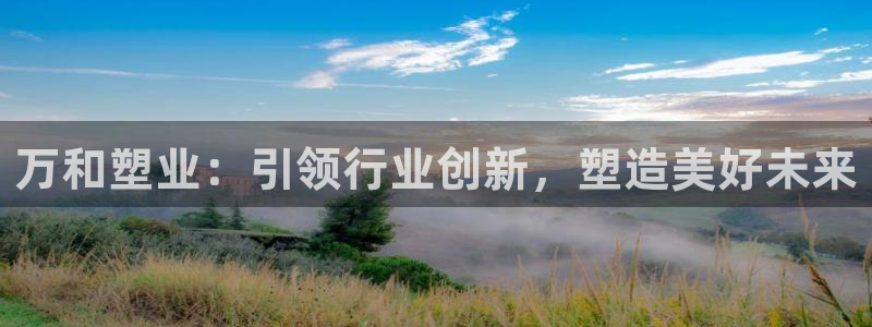 太阳老板是谁：万和塑业：引领行业创新，塑造美好未来