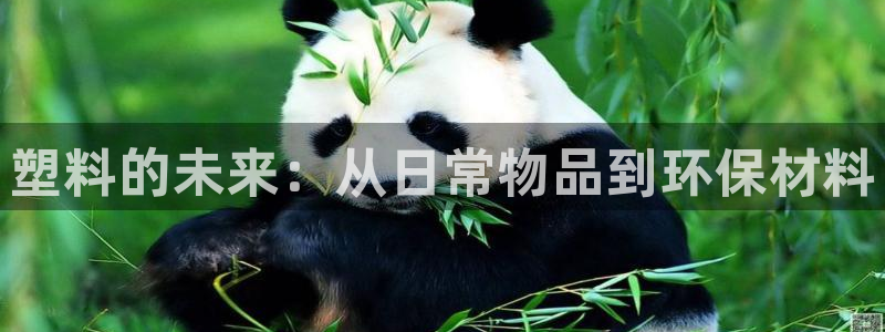 太阳集团贵宾网站：塑料的未来：从日常物品到环保材料