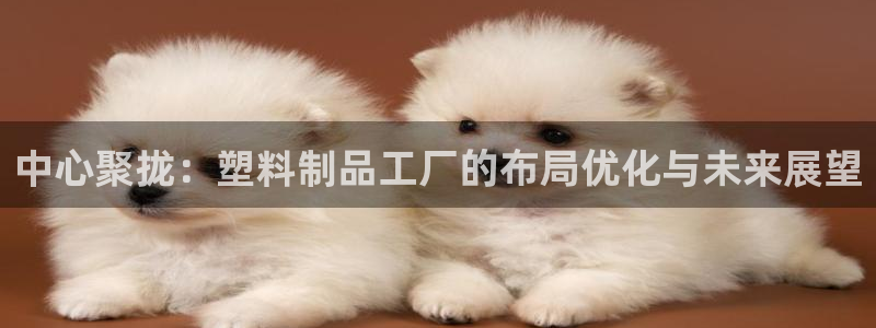 太阳app怎么下载：中心聚拢：塑料制品工厂的布局优化与未来展