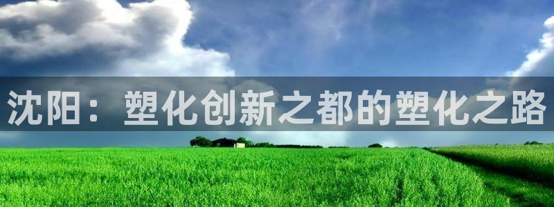 太阳集团网站入口官网首页：沈阳：塑化创新之都的塑化之路