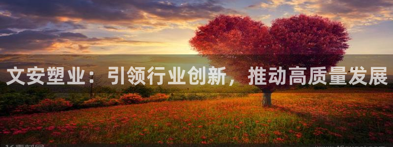 太阳集团城网：文安塑业：引领行业创新，推动高质量发展