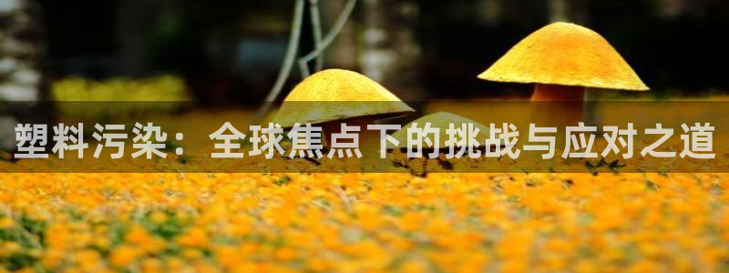 太阳gg打不开了吗：塑料污染：全球焦点下的挑战与应对之道