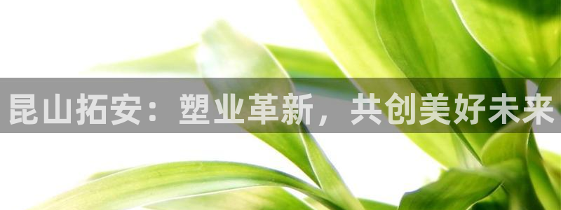 太阳诚集团有限公司有多少人：昆山拓安：塑业革新，共创美好未来