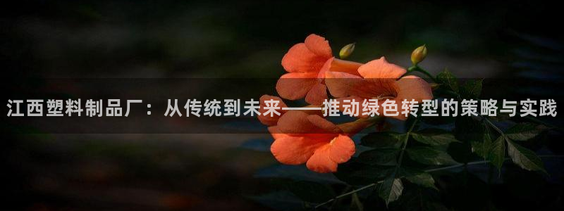 太阳成娱乐集团：江西塑料制品厂：从传统到未来——推动绿色转型