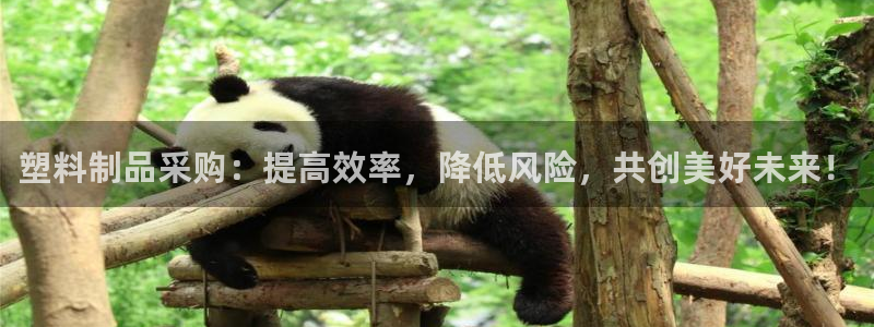 太阳集团的老总是谁：塑料制品采购：提高效率，降低风险，共创美