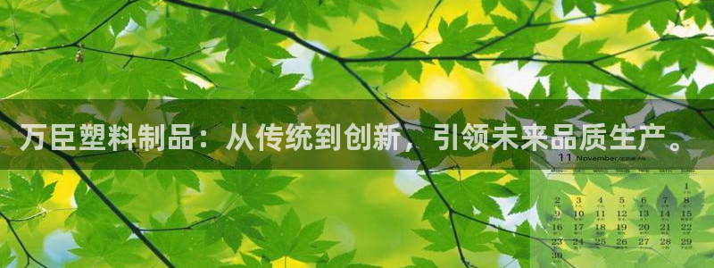 太阳诚集团有限公司有多少人：万臣塑料制品：从传统到创新，引领