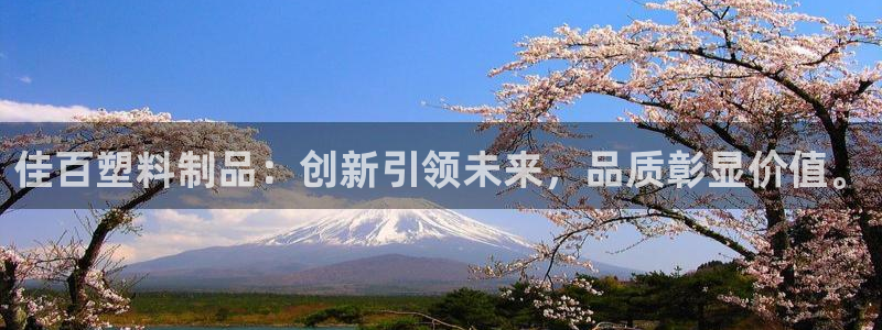 太阳成集团下载：佳百塑料制品：创新引领未来，品质彰显价值。