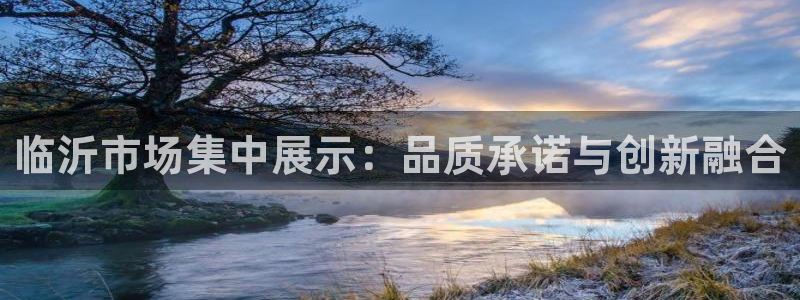 太阳诚集团电影：临沂市场集中展示：品质承诺与创新融合