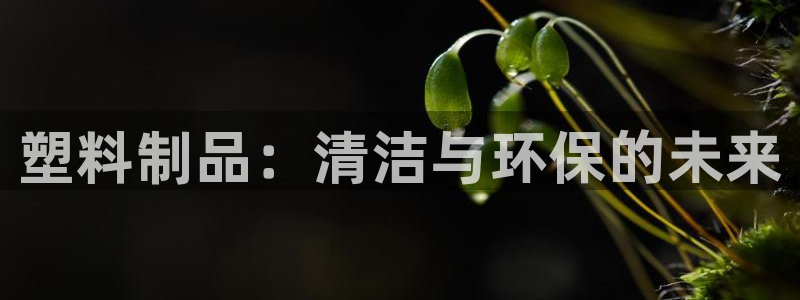 太阳集团网站2018：塑料制品：清洁与环保的未来