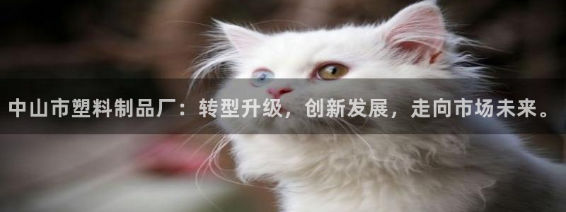 太阳地产集团：中山市塑料制品厂：转型升级，创新发展，走向市场