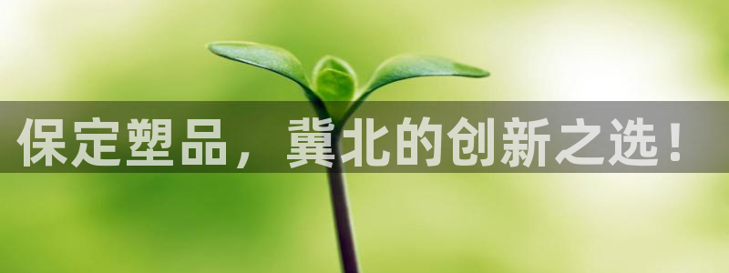 太阳集团在中国合法吗：保定塑品，冀北的创新之选！