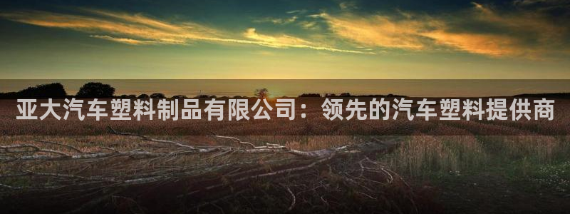 太阳集团游戏城旧版2.1.9：亚大汽车塑料制品有限公司：领先