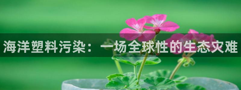 太阳成集团tyc234cc[主页]网址振兴：海洋塑料污染：一