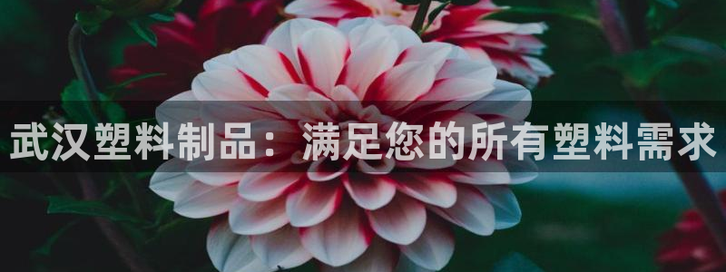 太阳成集团网站取款：武汉塑料制品：满足您的所有塑料需求
