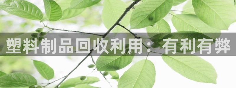 太阳集团城娱8722官方网站：塑料制品回收利用：有利有弊