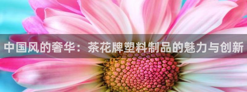 太阳诚集团APP在线观看：中国风的奢华：茶花牌塑料制品的魅力