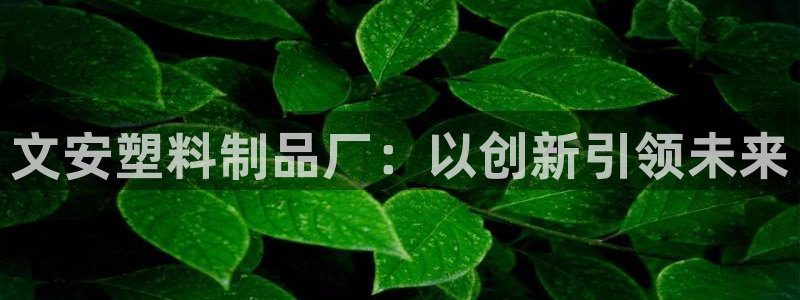 古天乐太阳网城：文安塑料制品厂：以创新引领未来