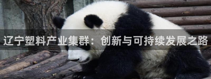 太阳集团官网：辽宁塑料产业集群：创新与可持续发展之路