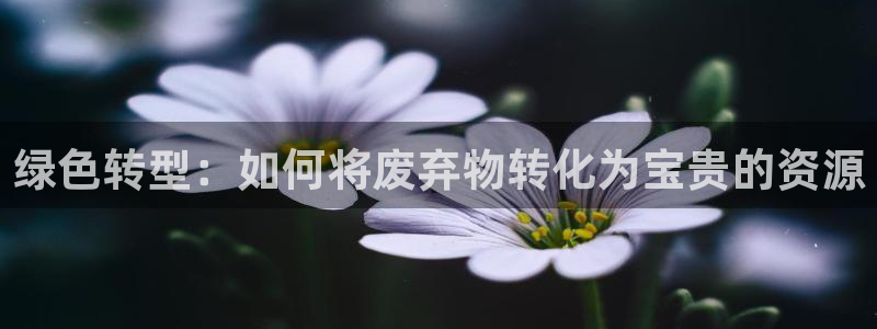 太阳集团股东：绿色转型：如何将废弃物转化为宝贵的资源