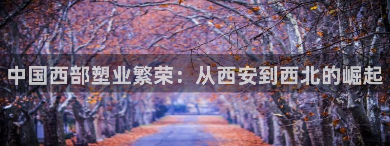 太阳诚集团：中国西部塑业繁荣：从西安到西北的崛起