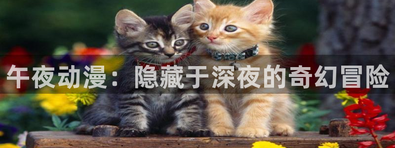 晚上必看樱花动漫：午夜动漫：隐藏于深夜的奇幻冒险